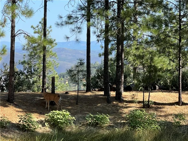 6612 Spencers Mill Lane, Midpines, California 95345