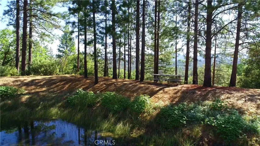 6612 Spencers Mill Lane, Midpines, California 95345