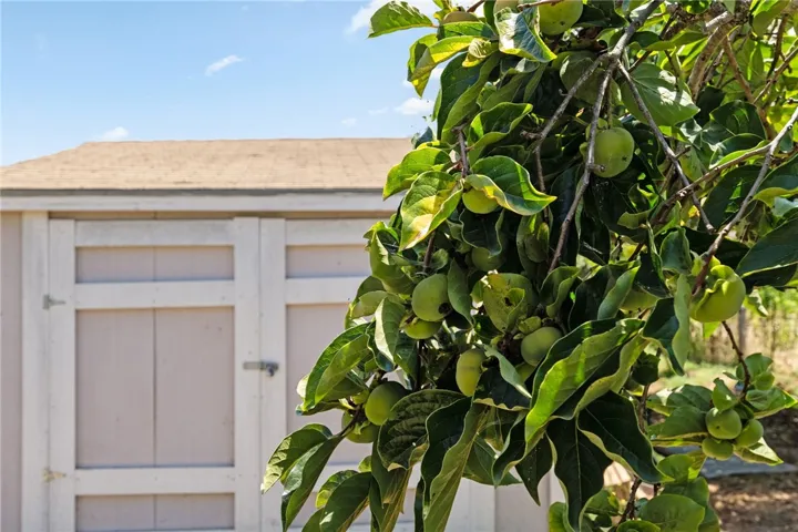 394 Hill Court, Fallbrook, California 92028