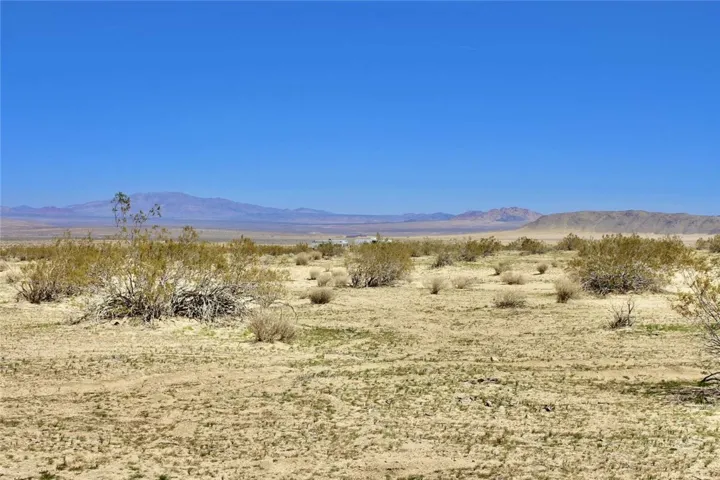 11 Datura Terrace, Johnson Valley, California 92285
