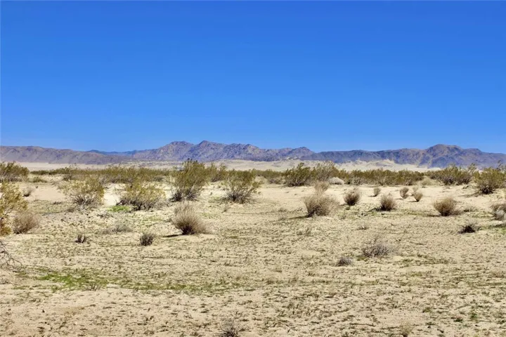 11 Datura Terrace, Johnson Valley, California 92285