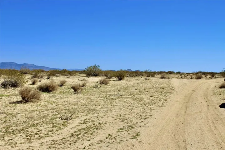 11 Datura Terrace, Johnson Valley, California 92285