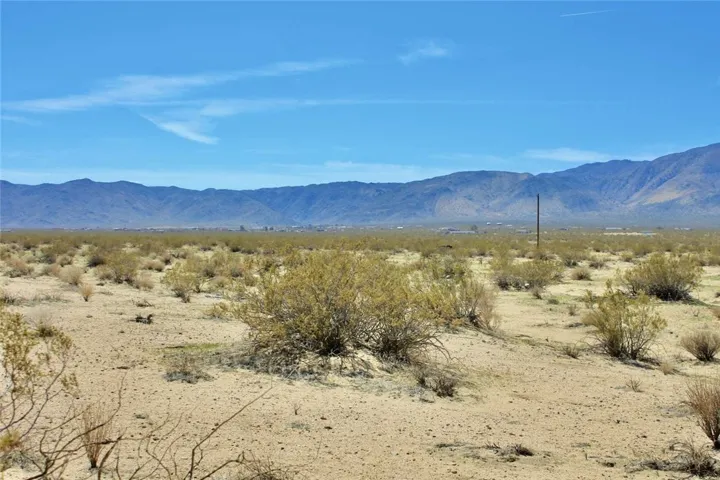 11 Datura Terrace, Johnson Valley, California 92285