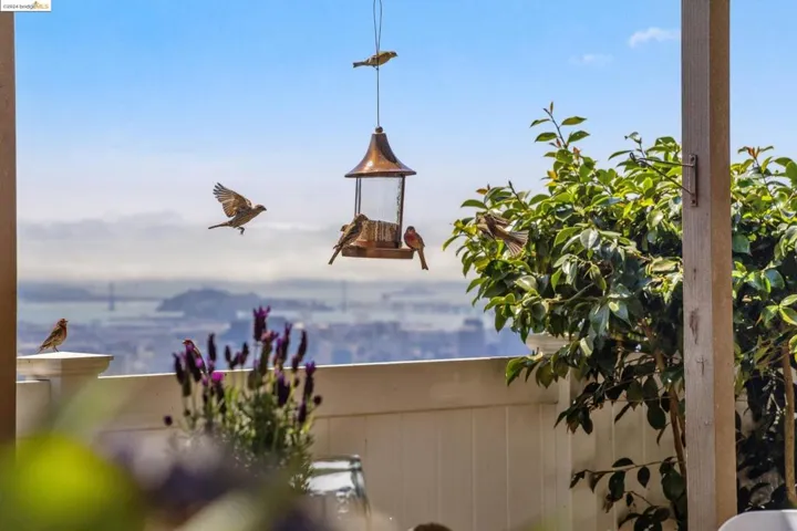 12669 Skyline Blvd, Oakland, California 94619