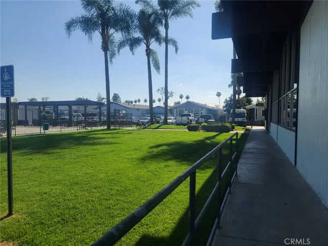 Dog Park