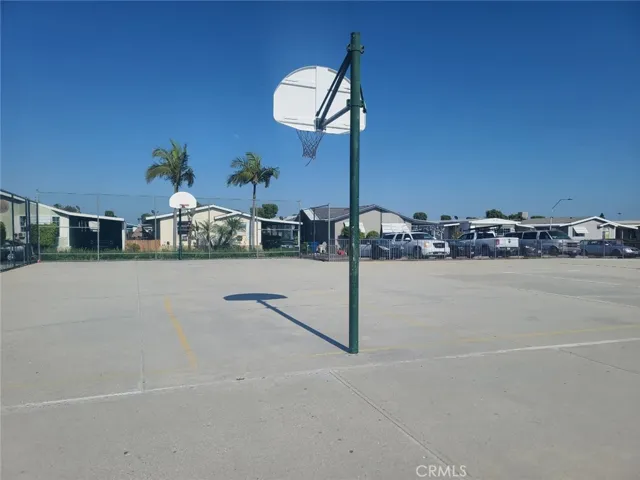 Basket Ball