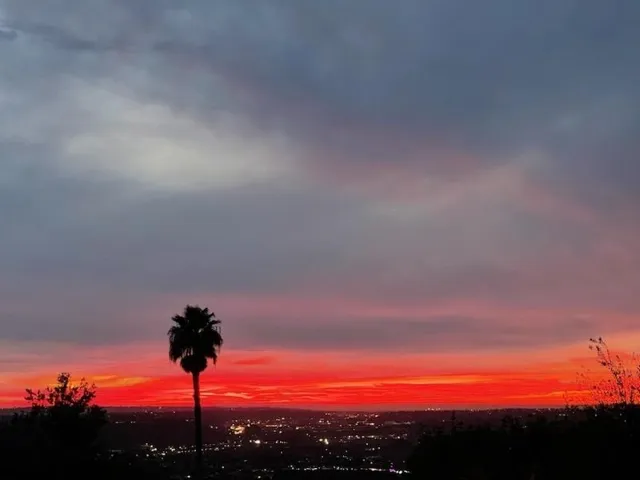 City lights