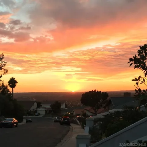 Neighborhood view