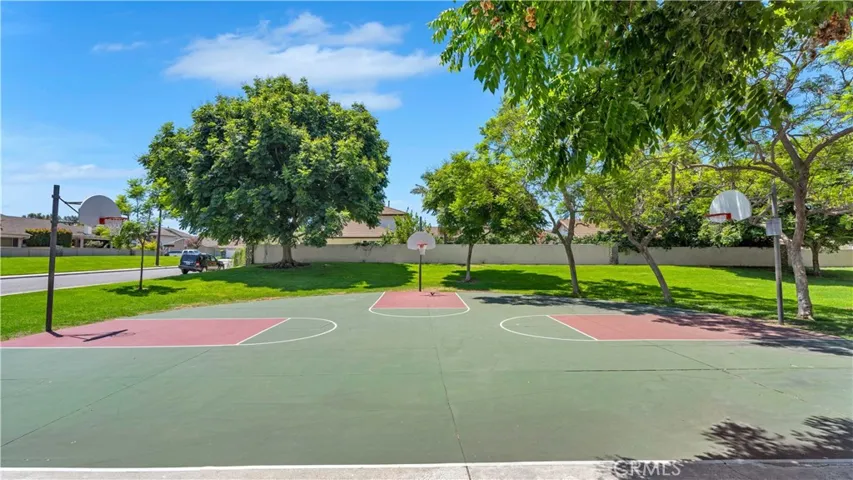 Basketball anyone?