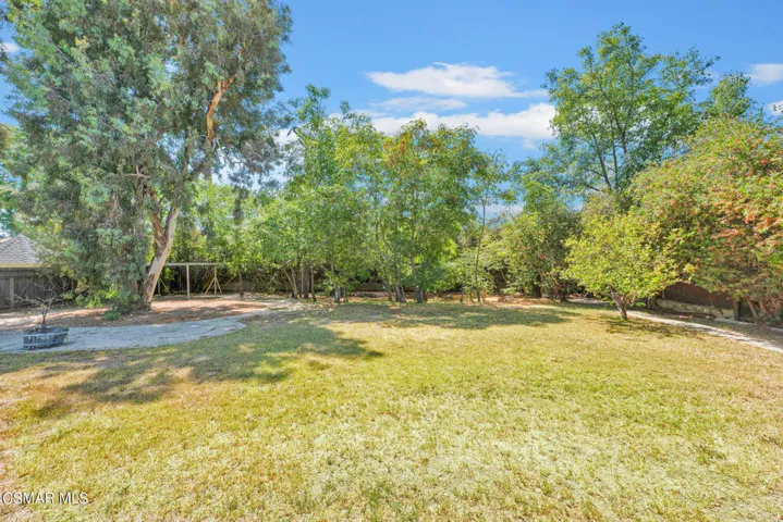 Wonderful Backyard