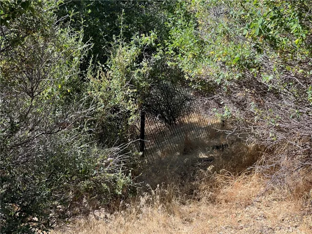 back fence