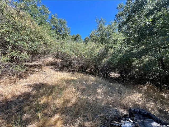 0 Elder Drive, Cedar Glen, California 92321