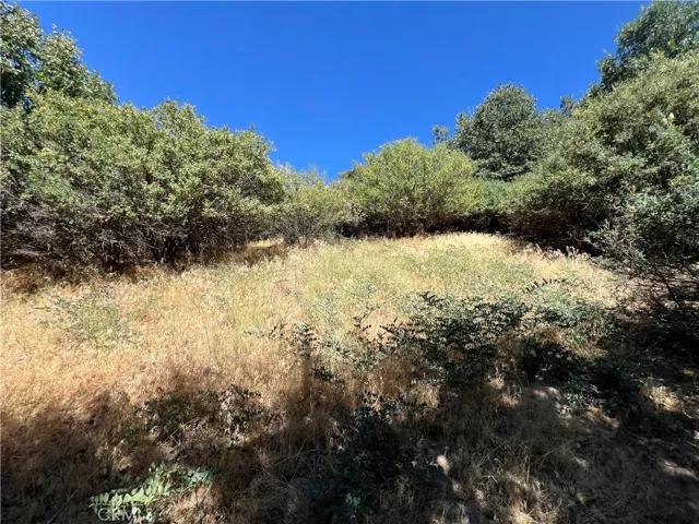 0 Elder Drive, Cedar Glen, California 92321