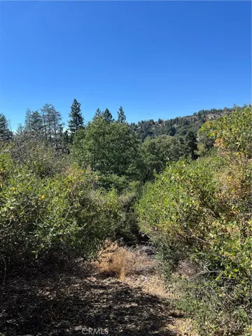 0 Elder Drive, Cedar Glen, California 92321