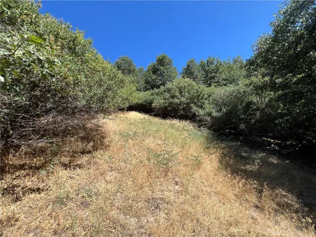 0 Elder Drive, Cedar Glen, California 92321