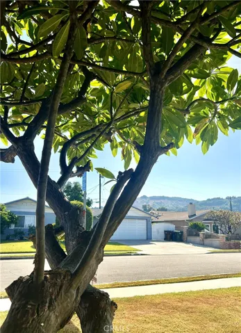 Front yard view