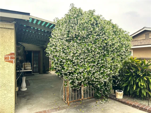Side patio
