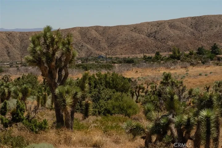 12610 Pallet Mesa Road, Pearblossom, California 93553