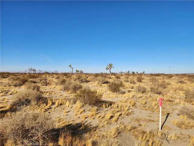 8 Ac Ave K, Lancaster, California 93535