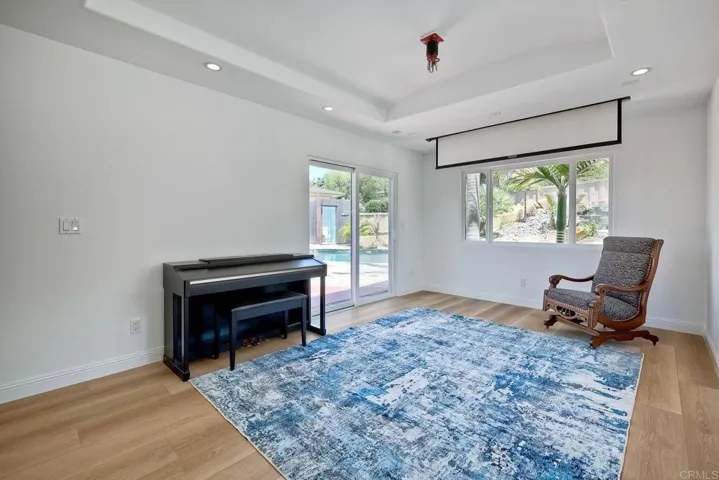 Home Theater and Vestibular Swing (which can be removed)