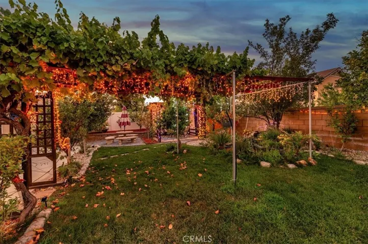 Trellis with grape vines growing on top!