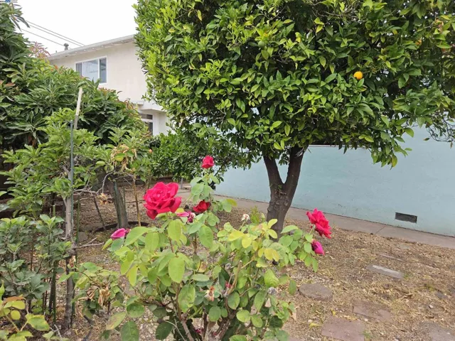 1440 Homestead Ln, Hayward, California 94545
