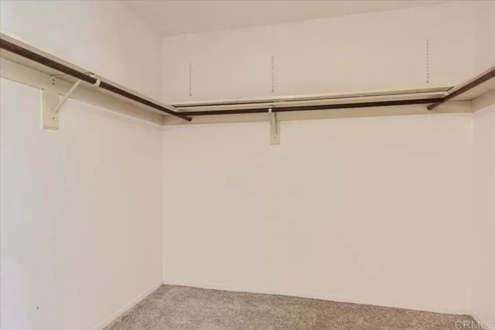 Primary Walk-in Closet