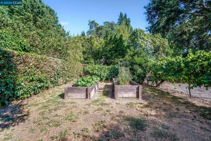267 Wayne Ave, Alamo, California 94507