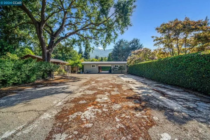 267 Wayne Ave, Alamo, California 94507