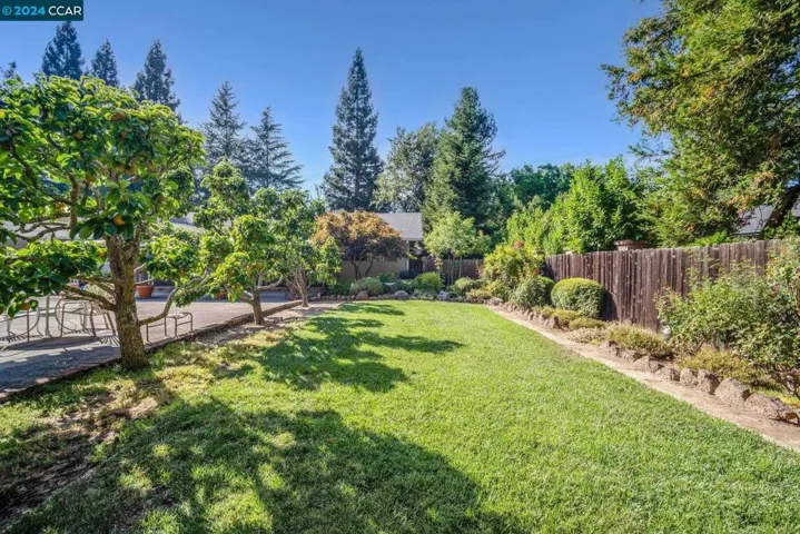 267 Wayne Ave, Alamo, California 94507