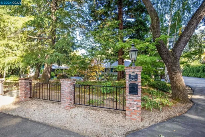 267 Wayne Ave, Alamo, California 94507