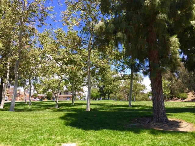 Community Park