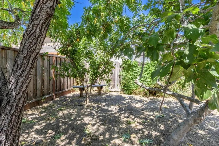 350 Nancy Lane, San Jose, California 95127