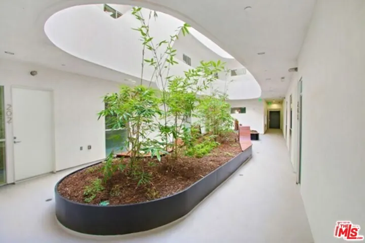 1038 S Mariposa Avenue 203, Los Angeles, California 90006