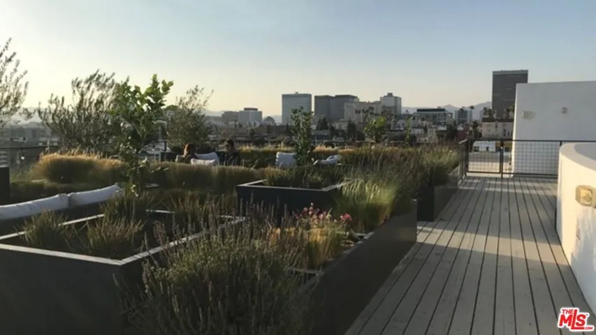 1038 S Mariposa Avenue 203, Los Angeles, California 90006