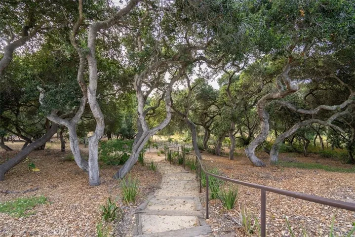Oak studded setting
