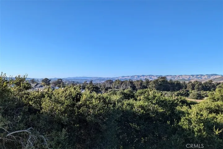 Treetop views