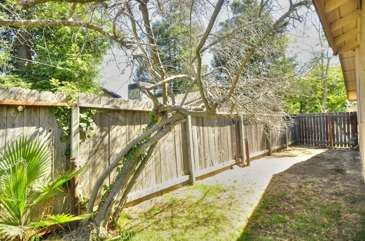 SIDE YARD