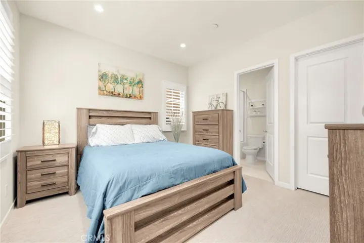 Downstairs suite en suite bathroom and walk in closet.
