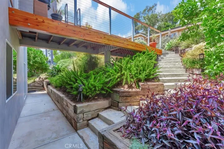 Downstairs garden