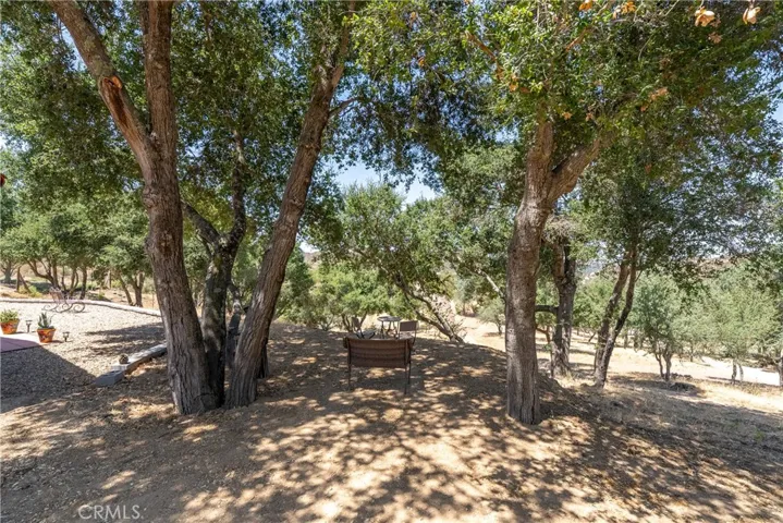 Oaks are scattered throughout the property.