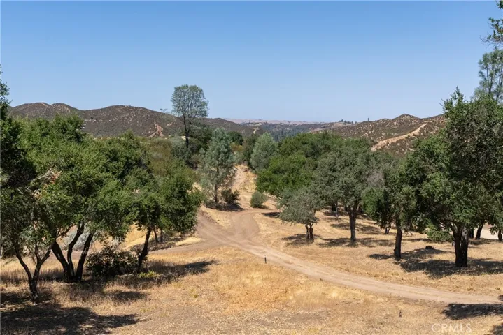 Walking, hiking, biking trails to cut throughout the 20 acres.
