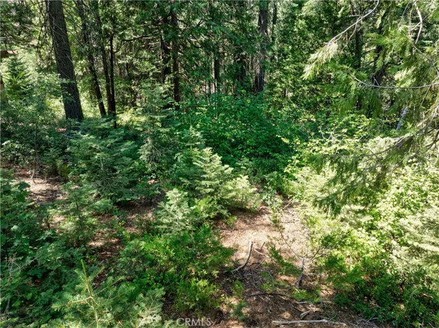 7199 Manzanita Lane, Yosemite, California 95389