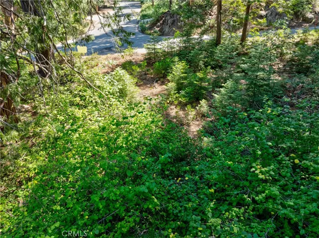7199 Manzanita Lane, Yosemite, California 95389