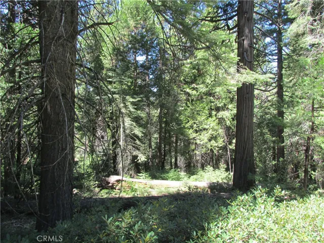7199 Manzanita Lane, Yosemite, California 95389