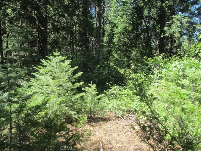 7199 Manzanita Lane, Yosemite, California 95389