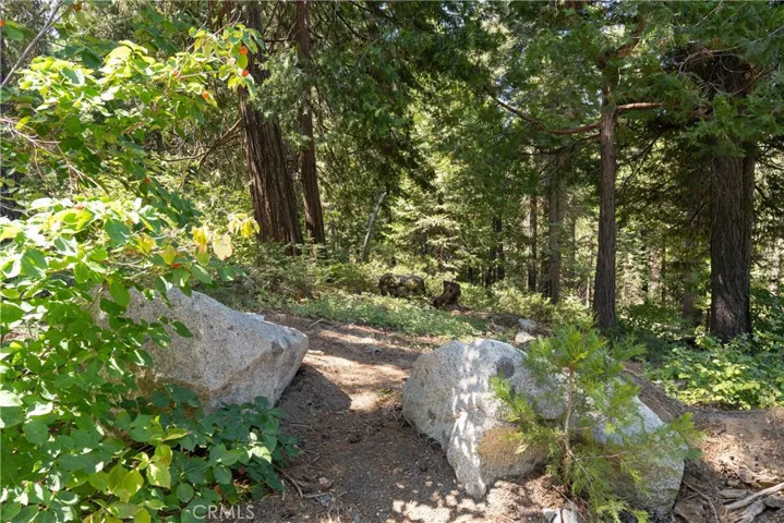 7199 Manzanita Lane, Yosemite, California 95389