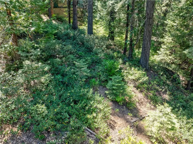 7199 Manzanita Lane, Yosemite, California 95389