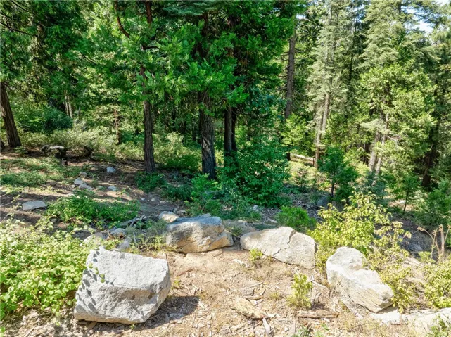 7199 Manzanita Lane, Yosemite, California 95389