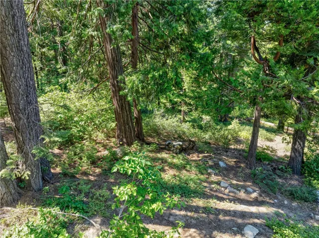 7199 Manzanita Lane, Yosemite, California 95389
